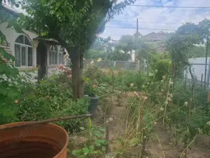 Casa de vanzare Cartier CFR - imagine 2 Casa de vanzare Cartier CFR - imagine 2