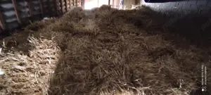 Vând baloți de paie de grâu 