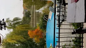 Caut domnisoară pentru o relatie liberă reciproc avantajoasa.