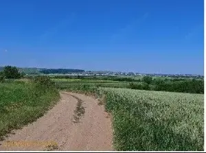 Teren extravilan Bosanci, ID: R2649419 - imagine 5