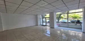 Iuliu Manu sp 91 mp trafic intens - imagine 2