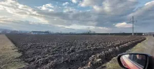 Teren Petresti 5020 mp