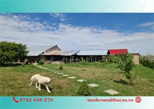 Un colt de rai pe-un picior de plai! CE1210 - imagine 3