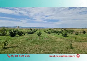 Un colt de rai pe-un picior de plai! CE1210 - imagine 6