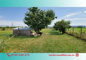 Un colt de rai pe-un picior de plai! CE1210 - imagine 8