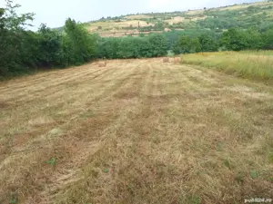 Vand teren intravilan 2520 mp, 21.500 Euro ,sat Gusu, jud Sibiu