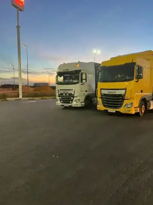 caut conducator auto cat C+E