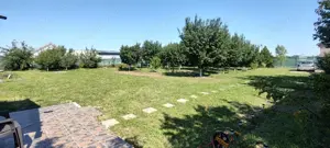 Teren intravilan 1200 mp+casuta de gradina si anexe Cascioarele, Ulmi - imagine 6