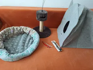 Accesorii pentru pisica, culcus moale, casuta, zgarda cu clopotel (buc=2), Jucarie cu etaj pentru zg - imagine 2 Accesorii pentru pisica, culcus moale, casuta, zgarda cu clopotel (buc=2), Jucarie cu etaj pentru zg - imagine 2