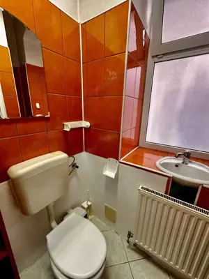 Spațiu comercial de închiriat, Str. Lunga, Brașov – vizibilitate excelenta - imagine 9