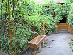 Casa  4 camere  Strada V.Lucaciu colt  cu I.L. Caragiale in Nădlac - imagine 6