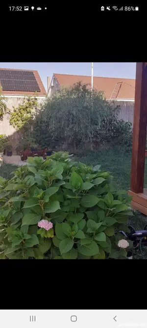 Casa de vanzare in Osorhei - imagine 6