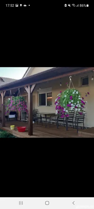 Casa de vanzare in Osorhei - imagine 4