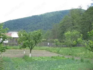 Casa de vacanta de vanzare - imagine 8