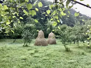 Casa de vacanta de vanzare - imagine 9