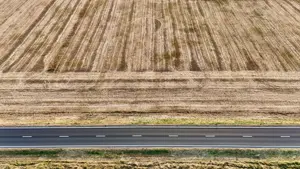 Teren extravilan 2.3 hectare de vanzare DN21 Calarasi spre Slobozia - imagine 3