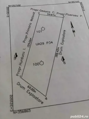 vand 1ha padure Malovat si 6,75 ha Malovat 