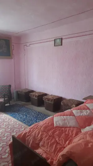 Vand casa in sat Brestea,com Denta,Timis - imagine 7