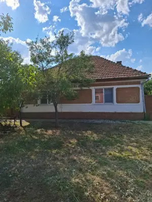 Vand casa in sat Brestea,com Denta,Timis
