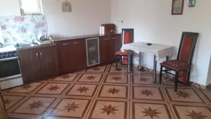 Vand casa in sat Brestea,com Denta,Timis - imagine 9