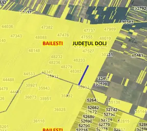 Teren extravilan + pădure salcâm   Băilești, Dolj   ideal pentru investiție - imagine 2 Teren extravilan + pădure salcâm   Băilești, Dolj   ideal pentru investiție - imagine 2
