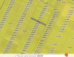 Teren extravilan + pădure salcâm   Băilești, Dolj   ideal pentru investiție - imagine 3 Teren extravilan + pădure salcâm   Băilești, Dolj   ideal pentru investiție - imagine 3