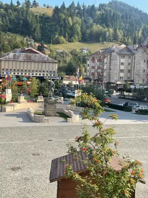 Campeni centru - ocazie unica vanzare imobil cu spatii de inchiriat sau locuit judetul Alba