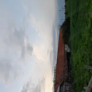 De vînzare in Jud Teleorman,fosta ferma și casă,Acte la zi , intabulare 2023!! - imagine 2