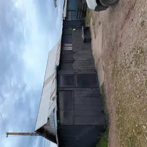 De vînzare in Jud Teleorman,fosta ferma și casă,Acte la zi , intabulare 2023!! - imagine 7