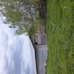 De vînzare in Jud Teleorman,fosta ferma și casă,Acte la zi , intabulare 2023!! - imagine 9