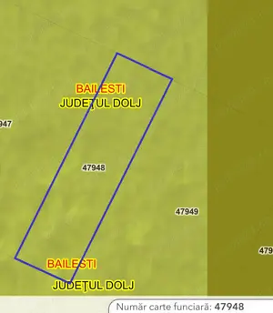 Teren extravilan + pădure salcâm   Băilești, Dolj   ideal pentru investiție - imagine 4 Teren extravilan + pădure salcâm   Băilești, Dolj   ideal pentru investiție - imagine 4