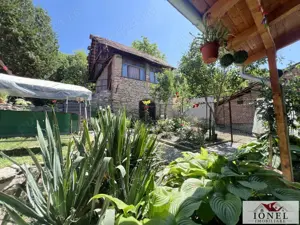 Casa de vanzare in Ampoita - imagine 16