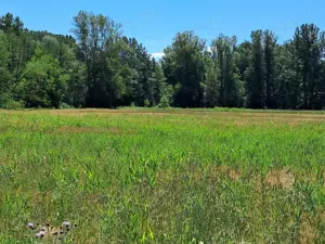 2 terenuri agricol și extravilan, construcție P+1E la roșu-104 mp, acte gata, în Vâlcea - imagine 3