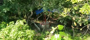 Casa de vanzare ideala pentru cei care cauta liniste, aer curat si confort rural - imagine 4 Casa de vanzare ideala pentru cei care cauta liniste, aer curat si confort rural - imagine 4