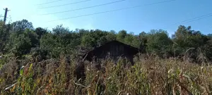 Casa de vanzare ideala pentru cei care cauta liniste, aer curat si confort rural - imagine 3 Casa de vanzare ideala pentru cei care cauta liniste, aer curat si confort rural - imagine 3