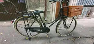 Bicicleta olandeza