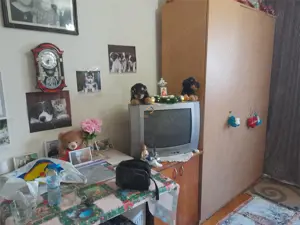 Garsoniera Etaj 2 zona Buziasului - imagine 3