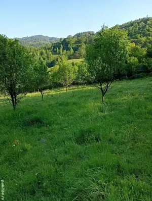 Teren de vanzare in Vulcan ( zona Pleznitoare)