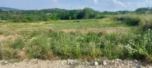 Teren intravilan Dobrogostea Merisani - imagine 2