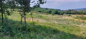 Teren intravilan Dobrogostea Merisani - imagine 3