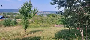 Teren intravilan Dobrogostea Merisani - imagine 4