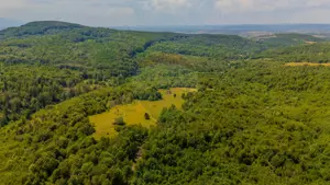 COMISION 0% Teren Grid/Inima Naturii/ Oportunitate de investiție - imagine 5