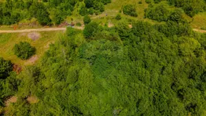 COMISION 0% Teren Grid/Inima Naturii/ Oportunitate de investiție - imagine 3