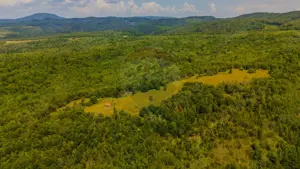 COMISION 0% Teren Grid/Inima Naturii/ Oportunitate de investiție - imagine 6