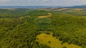 COMISION 0% Teren Grid/Inima Naturii/ Oportunitate de investiție - imagine 15