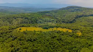 COMISION 0% Teren Grid/Inima Naturii/ Oportunitate de investiție - imagine 12