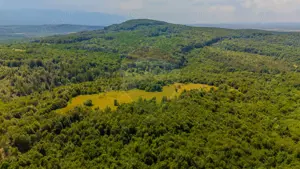 COMISION 0% Teren Grid/Inima Naturii/ Oportunitate de investiție - imagine 11