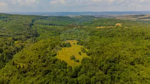 COMISION 0% Teren Grid/Inima Naturii/ Oportunitate de investiție - imagine 10