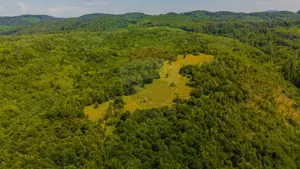 COMISION 0% Teren Grid/Inima Naturii/ Oportunitate de investiție - imagine 8