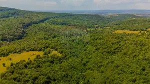 COMISION 0% Teren Grid/Inima Naturii/ Oportunitate de investiție - imagine 13